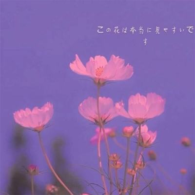 霍尔木兹海峡，大消息！特朗普最新发声！原油暴跌！黄金、白银直线爆发！